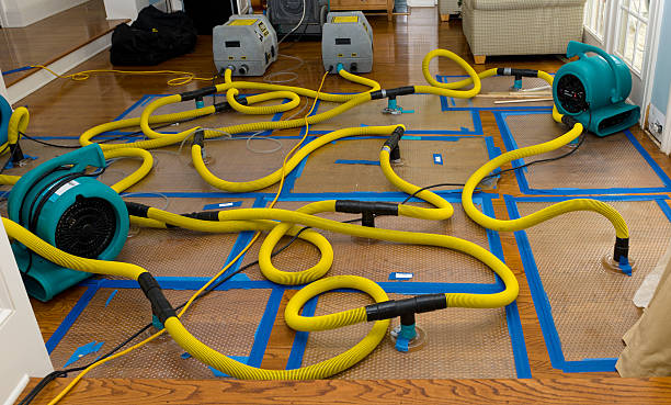 Professional Emergency Water Removal technician working in Fraser, MI